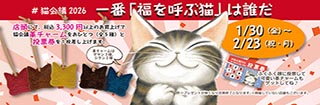２６猫会議